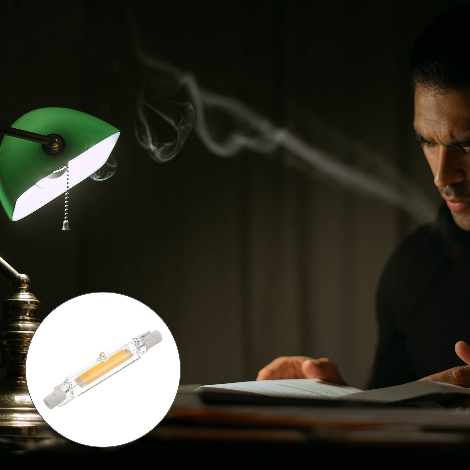 10W R7s LED-Lampe Doppelseitig – Photography Lighting Workshops Bewertung und Preis