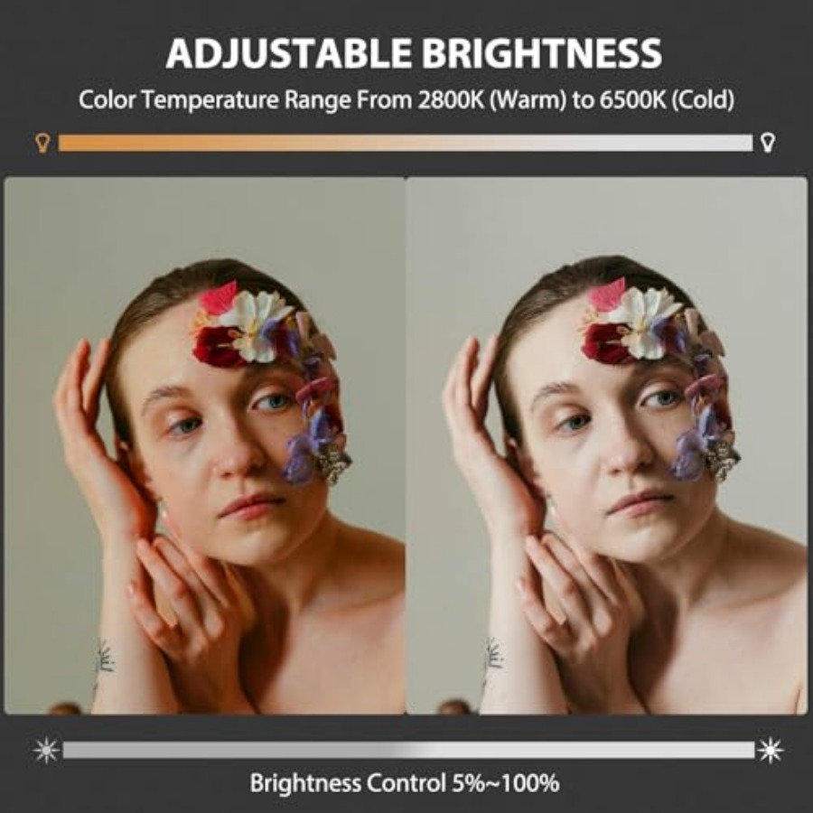 60W COB LED-Videoleuchte, trag – Photography Lighting Video Bewertung und Preis